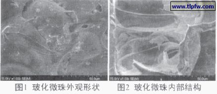 ?；⒅橥庥^形狀及內(nèi)部結(jié)構(gòu)